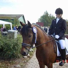 Anden særlig race Prins