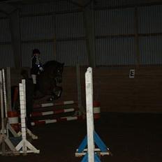 Anden særlig race Prins