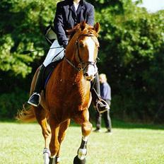 Frederiksborg Prins Amadeus Hegnsbo