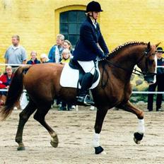 Frederiksborg Prins Amadeus Hegnsbo