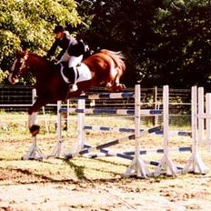 Frederiksborg Prins Amadeus Hegnsbo