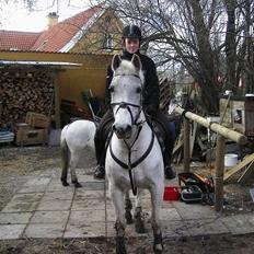 Anden særlig race Silver Ghost