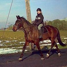 Oldenborg Andy Bakholdt