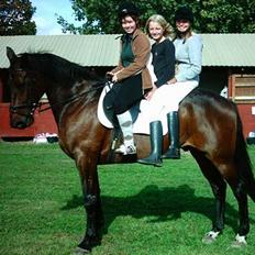 Oldenborg Andy Bakholdt