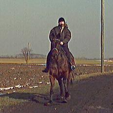 Oldenborg Andy Bakholdt