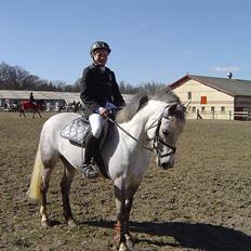 Anden særlig race Plaisir SOLGT