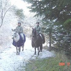Anden særlig race Plaisir SOLGT