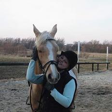 Palomino Soles Amigo