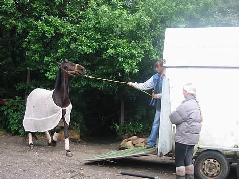 Traver  Doktergårdens Flika - flika der ellers bare vader op i traileren.. taget i et trodsigt øjeblik! <3 billede 2