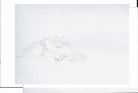 Jyde Gunter død:´( - det er gunter men det er Camilla (11) N der lavet t den billede 6