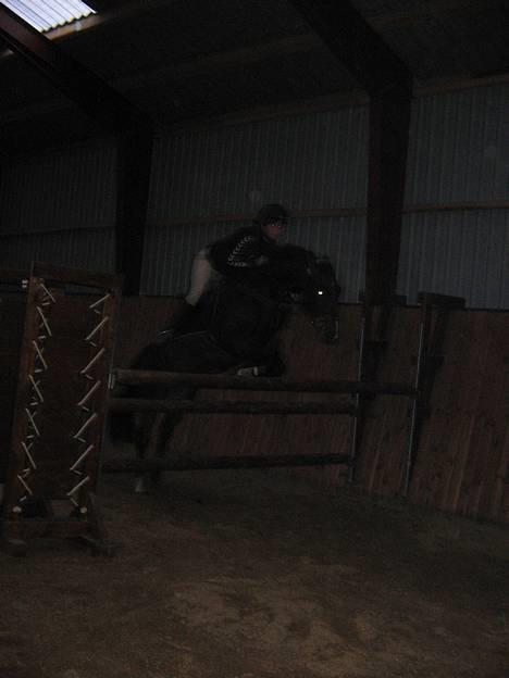 New Forest Callahan (Calle) Solgt - oxer på 1,25 - 1,30.. =) dygtige pony.. billede 7