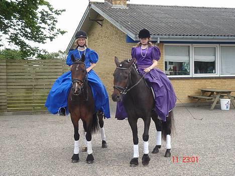 New Forest Callahan (Calle) Solgt - Vi elsker hinanden<3 Calle og Diamond... billede 9