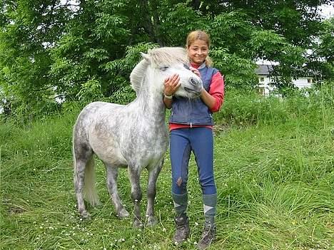 Shetlænder Tangens Herkules - "Mmmmm.. Kos med meg mamma!!!!" billede 6