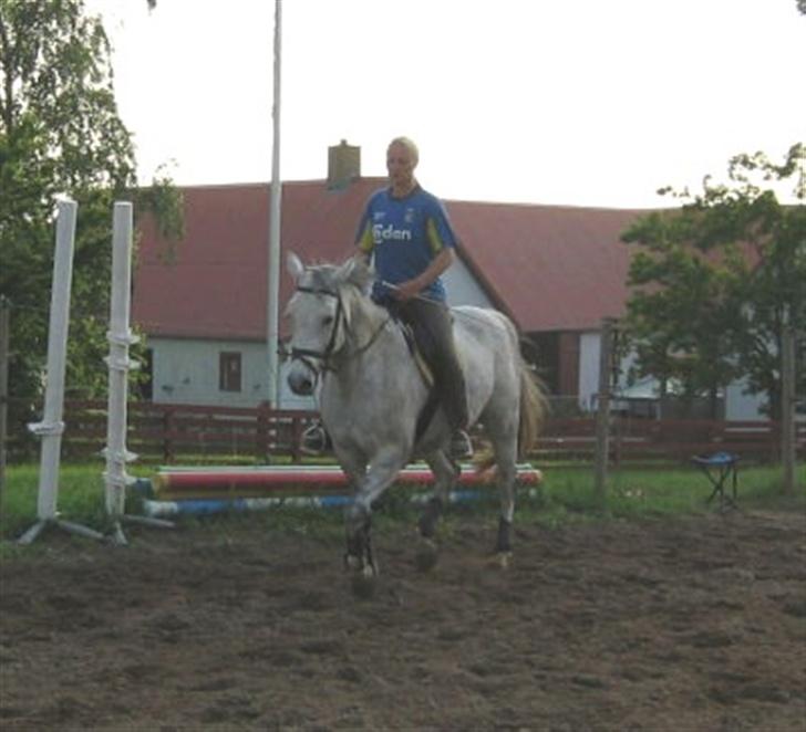 Holstener Waltzing Mathilda (Smill) - 28. Maj 2007 billede 6