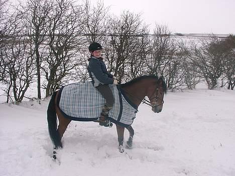 Anden særlig race Cheval  (Har haft lånt) - Mig og Cheval billede 2