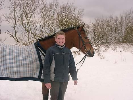 Anden særlig race Cheval  (Har haft lånt) - Mig og Cheval igen billede 4