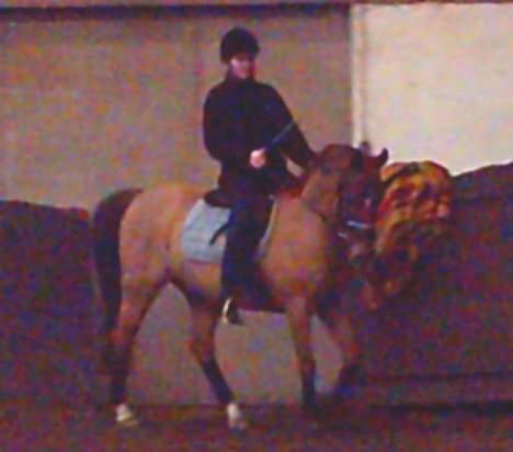 Anden særlig race Dagalin *solgt* billede 7