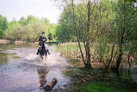 Oldenborg Nikita - Nikita og jeg på vej op efter en svømme tur.. øv.... det er fra en jagt 2004 billede 3