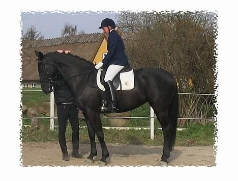 Oldenborg Nikita billede 4