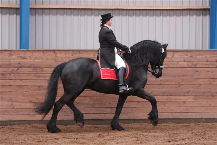 Frieser Hendrik - show i viborg d. 6 april 08 billede 7