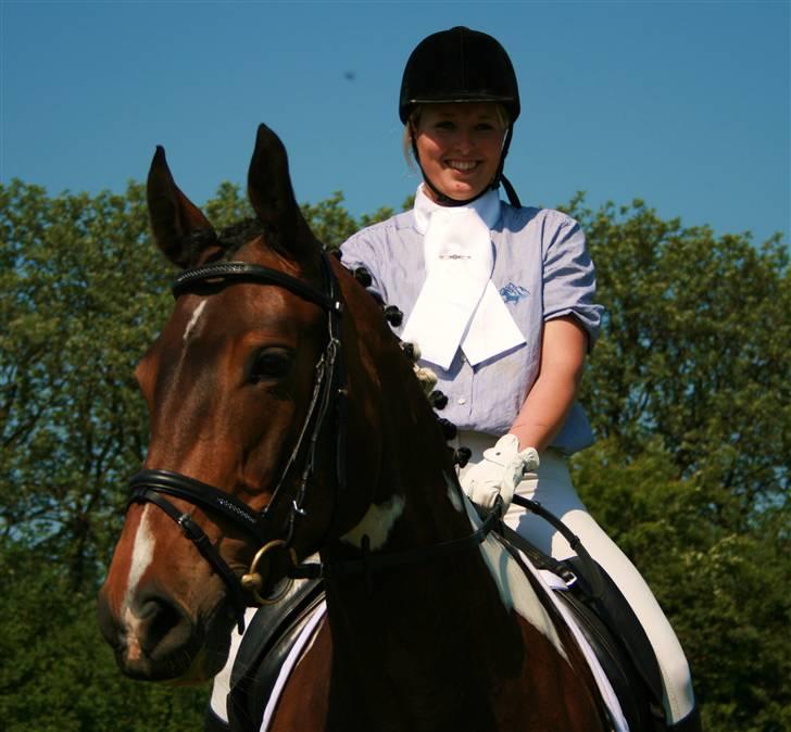 Pinto Magic Power - stævne NVR maj 2008 - Foto: Inger Wickstrøm billede 1