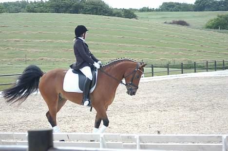 DSP Wonder  - Her er vi igen billede 3