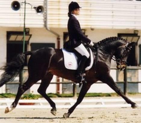 DSP Wonder  - Wonders far Manitu N billede 4