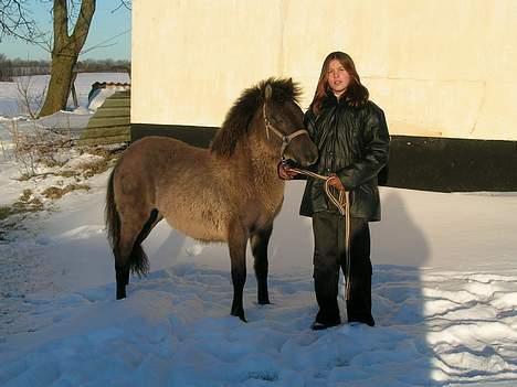 Anden særlig race *Stella* - Hun er så fin.. den lille uldtot...! billede 2