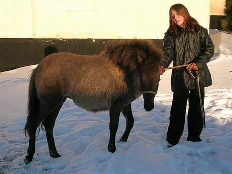 Anden særlig race *Stella* - Jannie altså.. Mor står jo lige derover ! billede 4