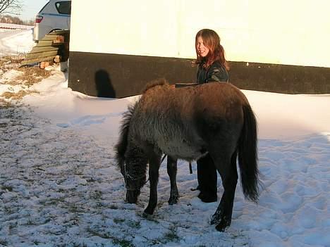 Anden særlig race *Stella* - Sne ?! billede 6