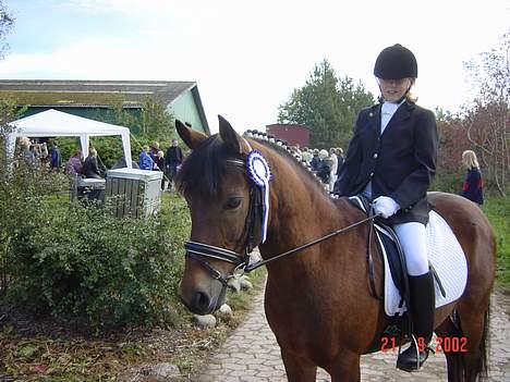 Anden særlig race Prins billede 2