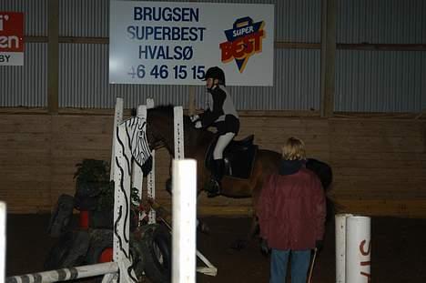 Anden særlig race Prins billede 4