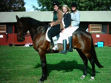 Oldenborg Andy Bakholdt - hehe.. her sidder vi 3 tøzer og hygger oz på andy på roskilde dyreskue hehe billede 2