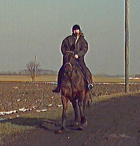 Oldenborg Andy Bakholdt - mille sidder på andy her.. hehe... hun ser dum ud hehe billede 3