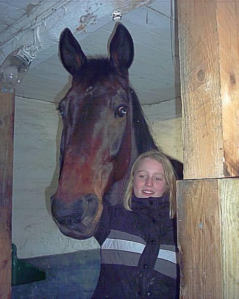 Oldenborg Andy Bakholdt - andy den gode dreng hehe.. inde i hans boks.. billede 4