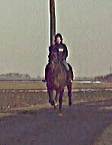 Oldenborg Andy Bakholdt - jahh  billede 6