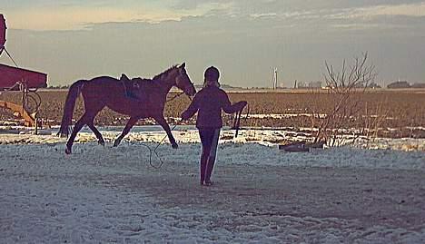 Oldenborg Andy Bakholdt billede 8