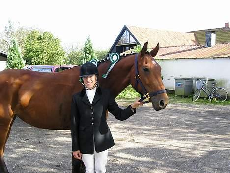 Dansk Varmblod Mølleåens Svetlana - Billede fra første stævne med TEAM Swebbe og Erica:-) Placering i LC2 og 3 billede 7