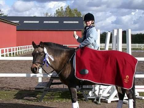 Anden særlig race Cooper - 'solgt' - Cooper og jeg med vores klubmester tæppe :b billede 3