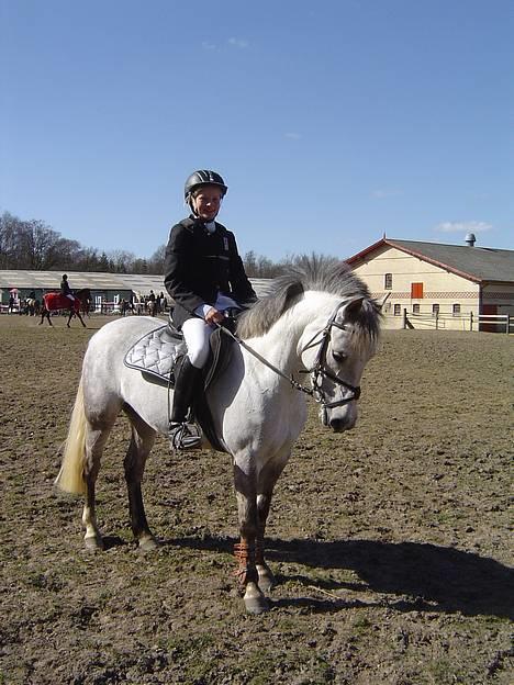 Anden særlig race Plaisir SOLGT - Skimle:D billede 1