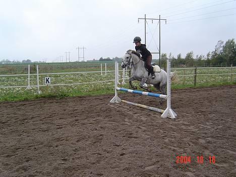 Anden særlig race Plaisir SOLGT - Første gang skimle blev sprunget i hele sit liv:D:D billede 6