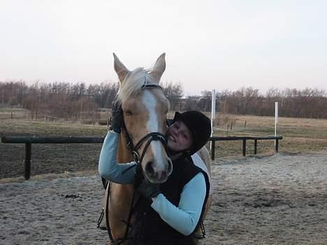 Palomino Soles Amigo - hygge :O) billede 3
