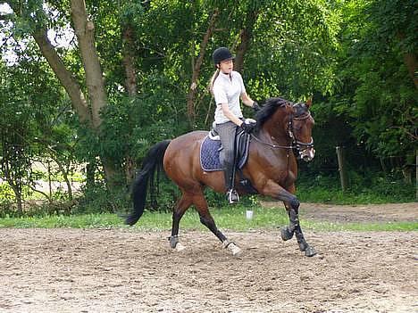 DSP Molly(Jeanne D´arc) Solgt - Galop undervisning - 2006 billede 7