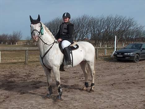 Knabstrupper Zeus R.I.P - hvad sker der....?? billede 3