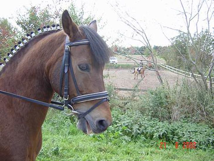 {{currentPhoto.altText}} billede {{currentPhoto.number}}