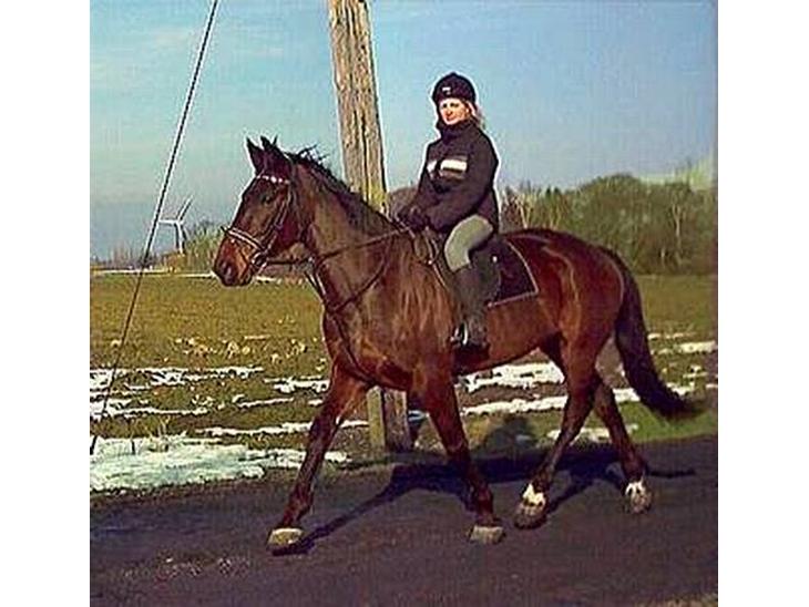 {{currentPhoto.altText}} billede {{currentPhoto.number}}