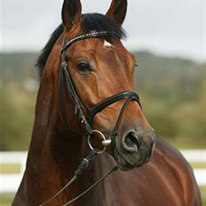 Oldenborg Talismann Nygaard *R.I.P*