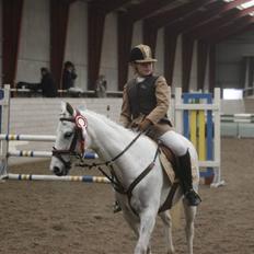 Anden særlig race Snowflake