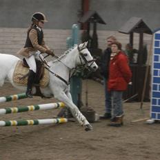 Anden særlig race Snowflake