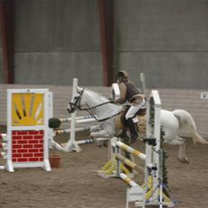 Anden særlig race Snowflake